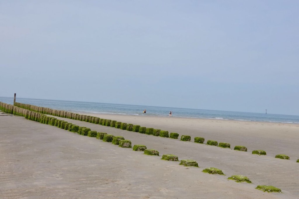 93618 - Niet-getagd