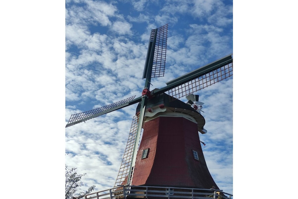 797814 - Niet-getagd