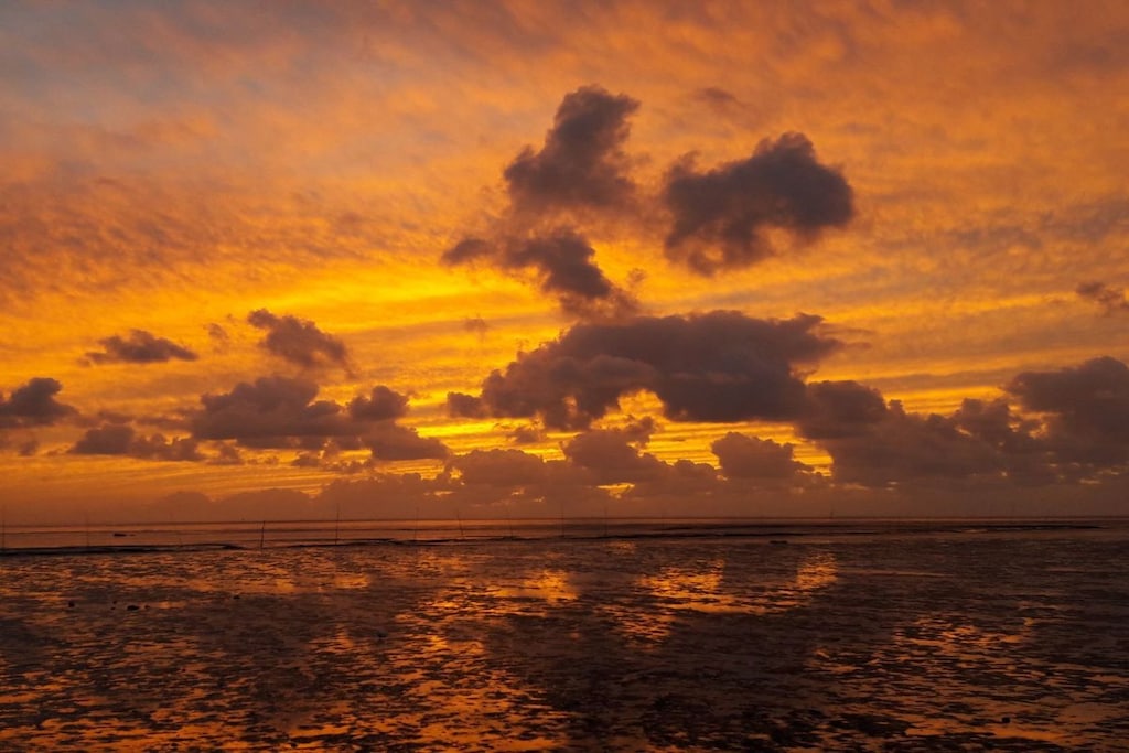 119315 - Nicht zugeordnet