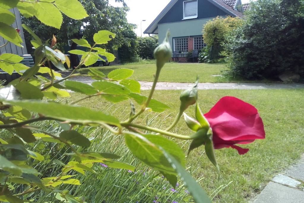 41443 - Niet-getagd
