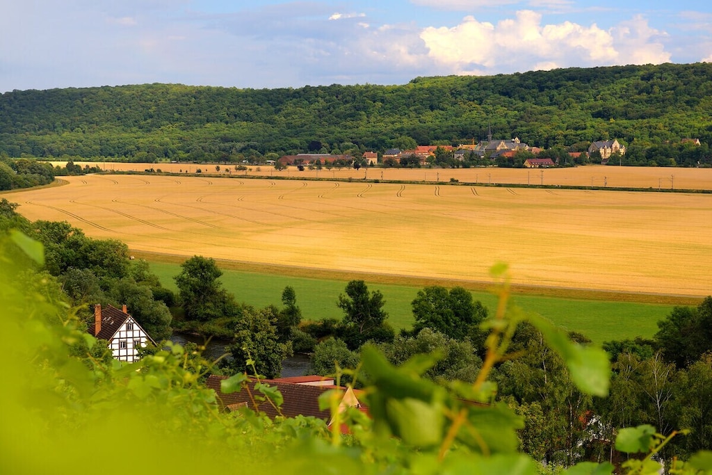 491154 - Nicht zugeordnet