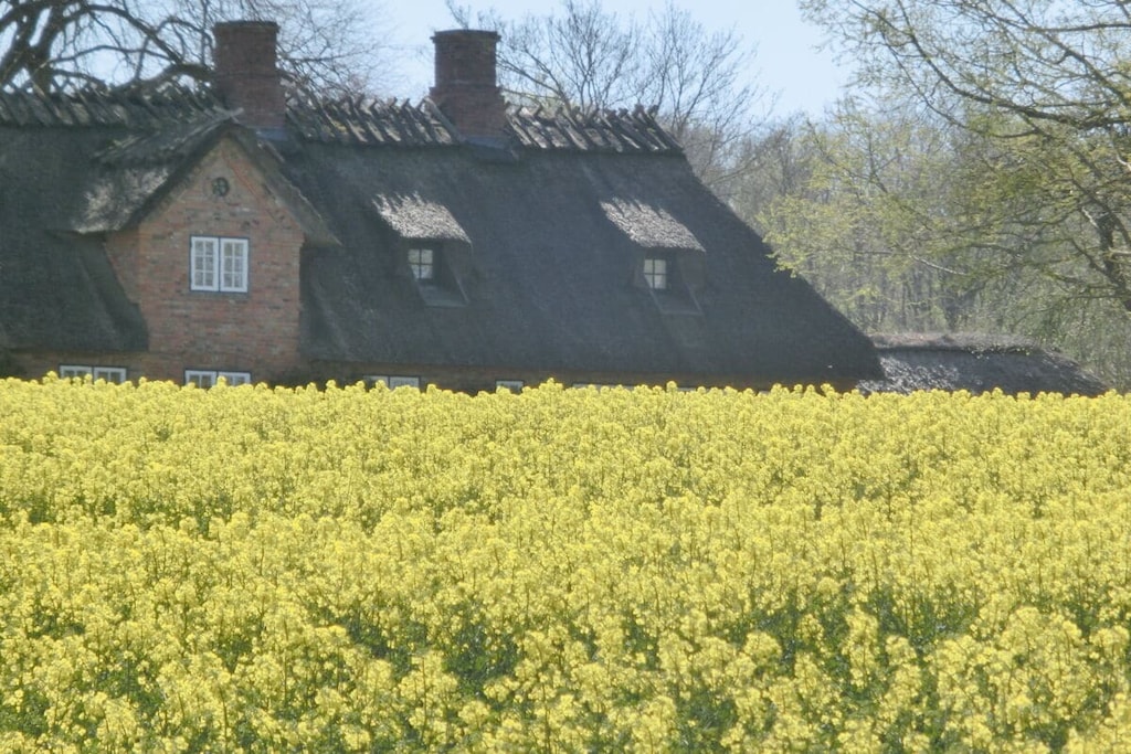 42902 - Niet-getagd