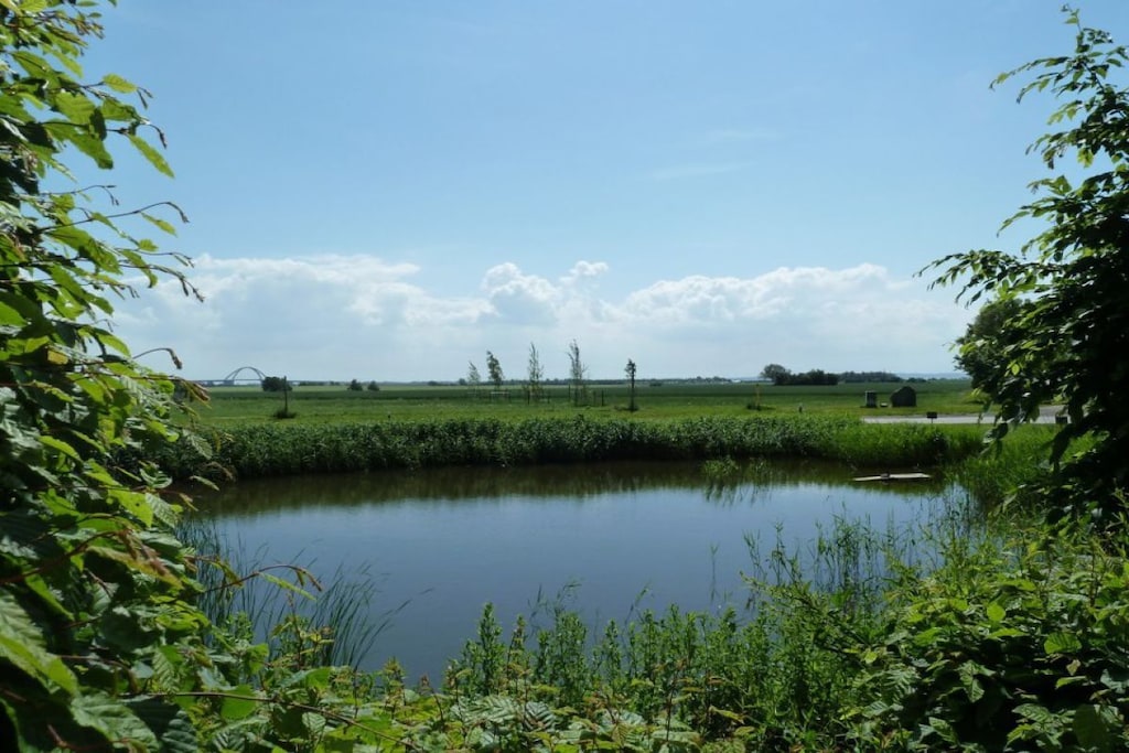 137011 - Niet-getagd