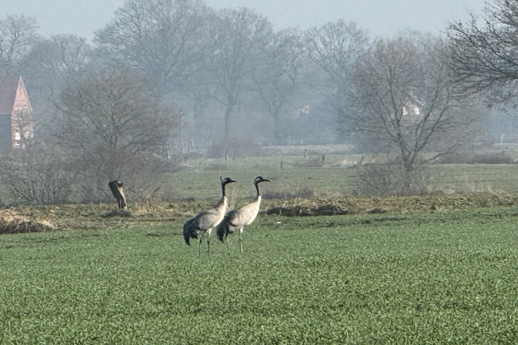 38158 - Niet-getagd