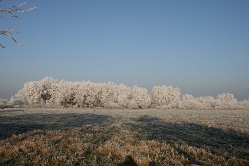 38158 - Niet-getagd