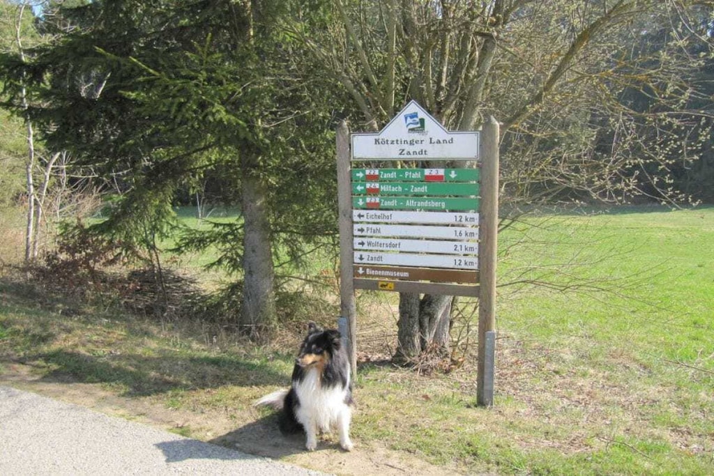 15366 - Niet-getagd