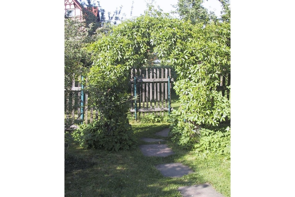35749