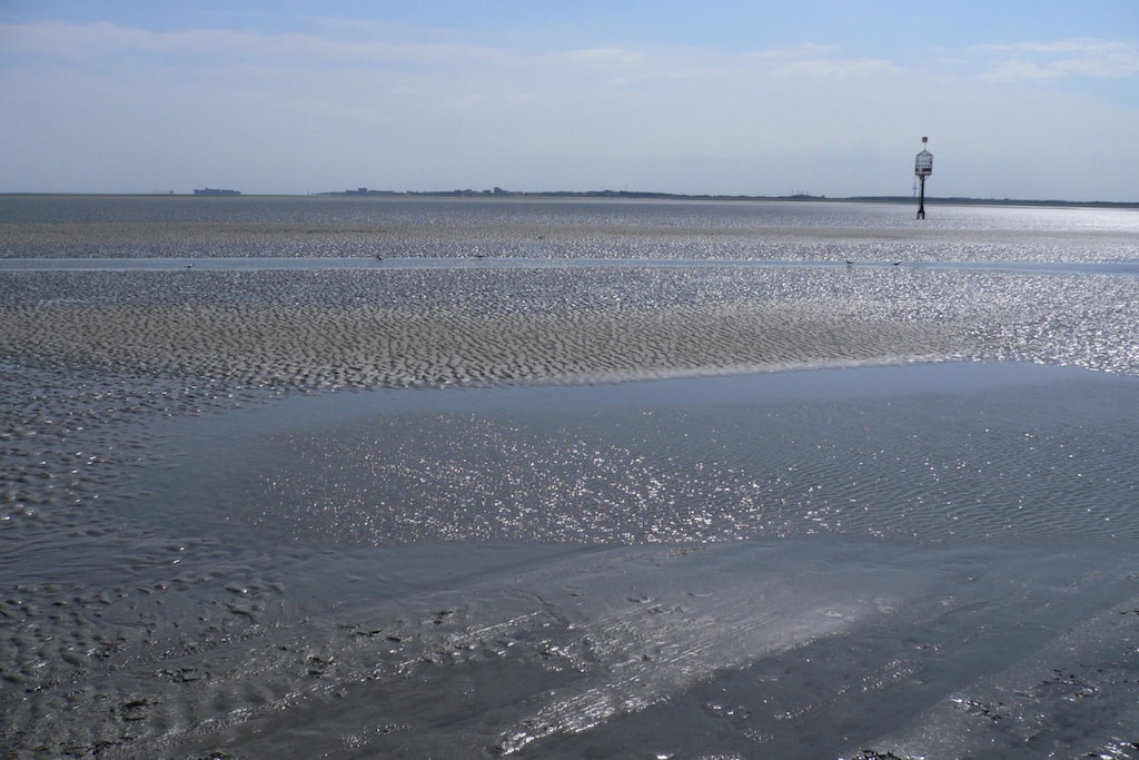 255783 - Untagged