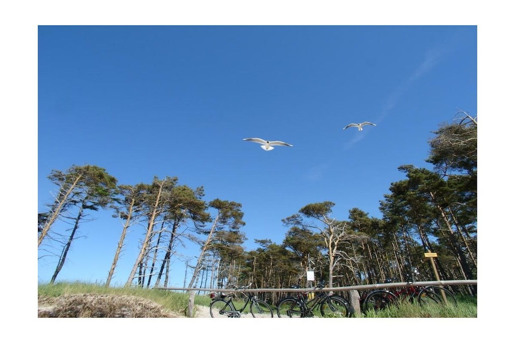 278053 - Niet-getagd