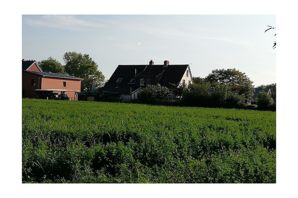 43573 - Niet-getagd