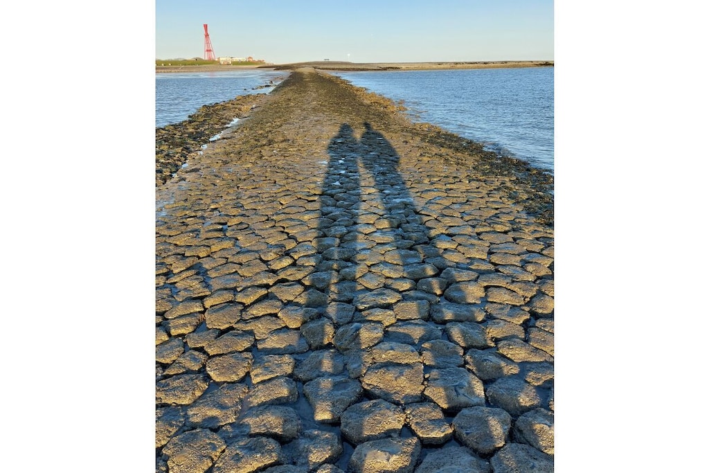 117267 - Niet-getagd
