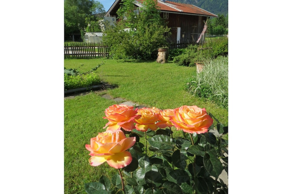 297459 - Niet-getagd