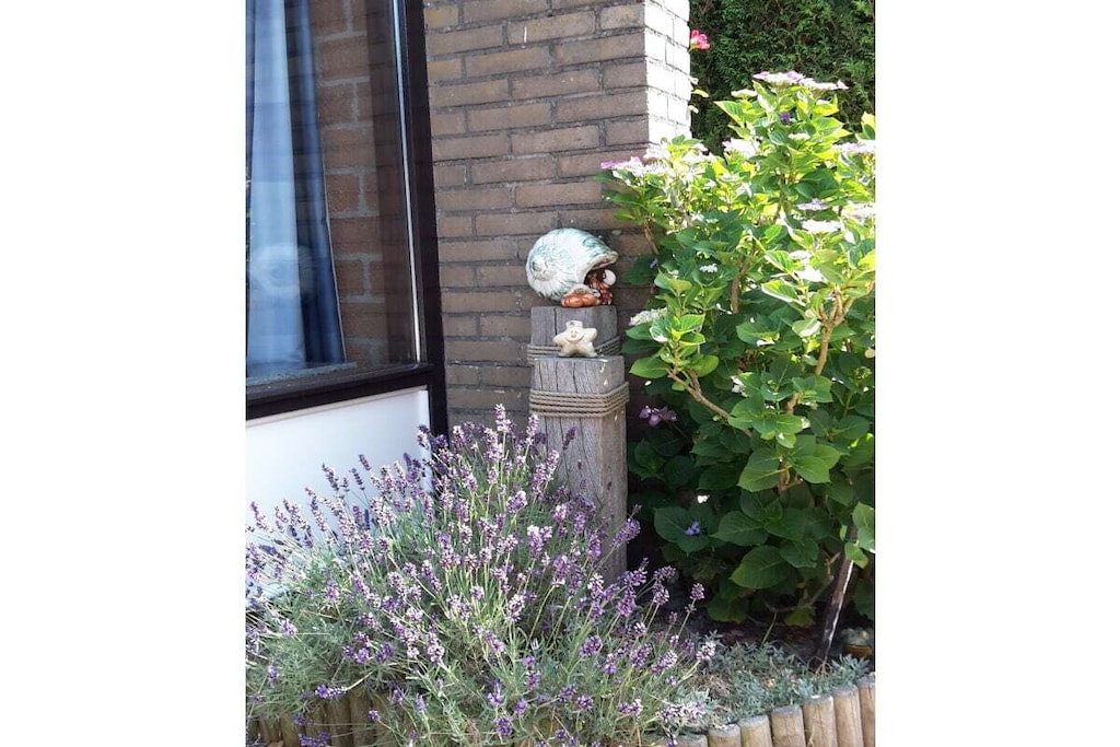 224879 - Niet-getagd