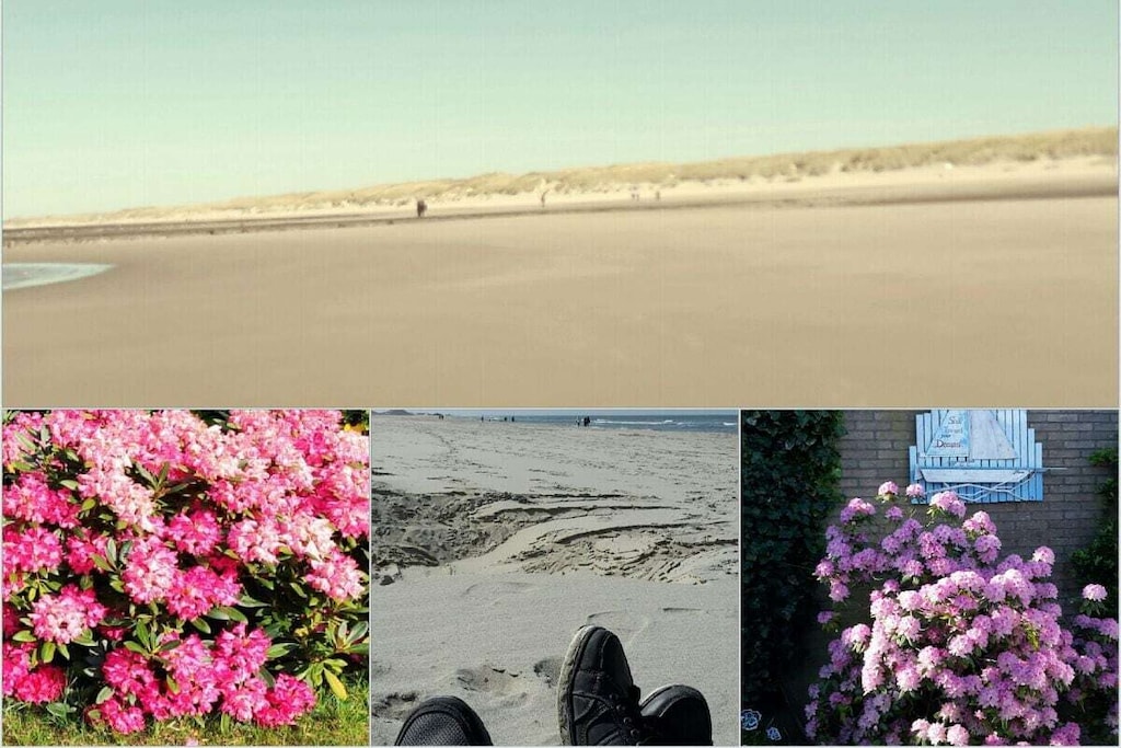 224879 - Niet-getagd