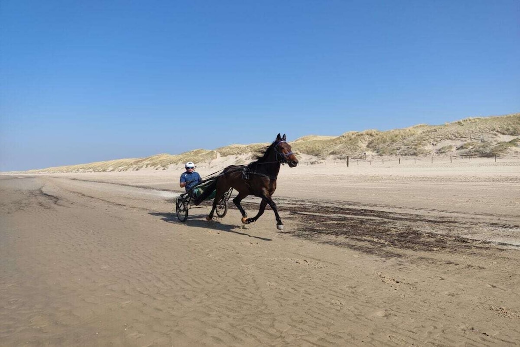 224879 - Niet-getagd