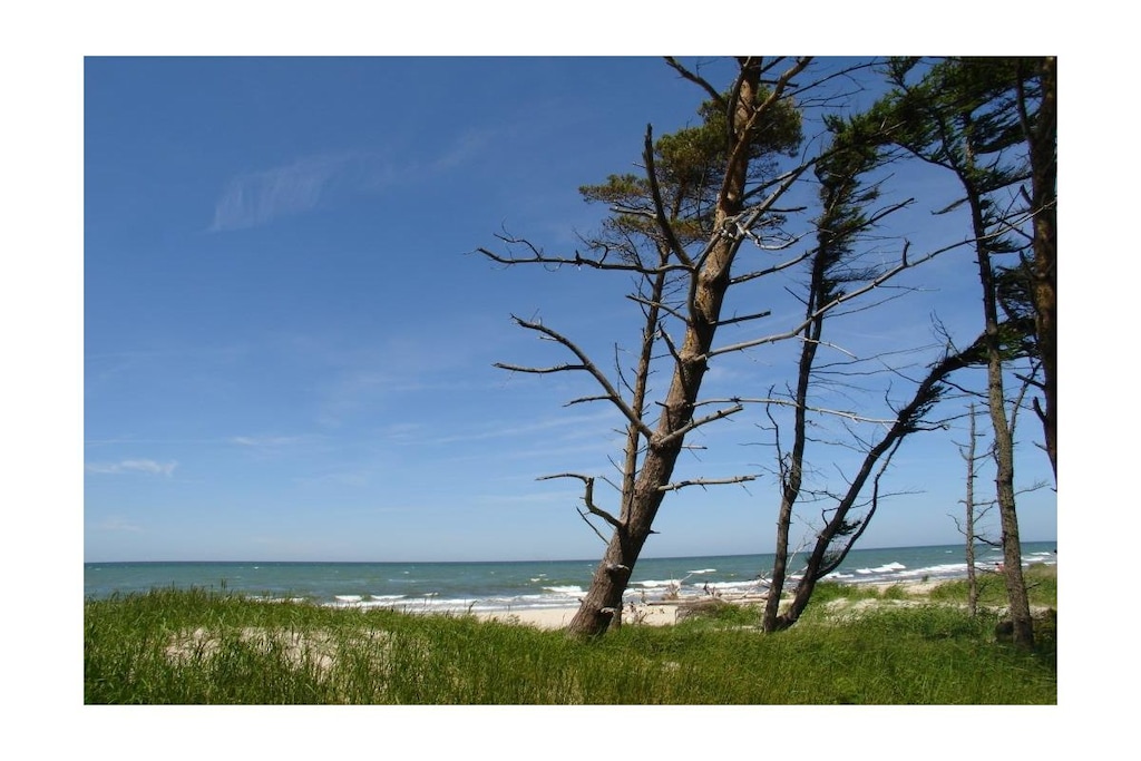 265295 - Niet-getagd