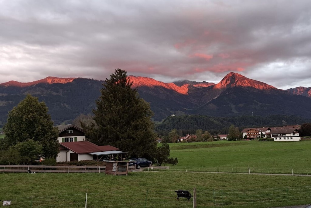 84653 - Niet-getagd