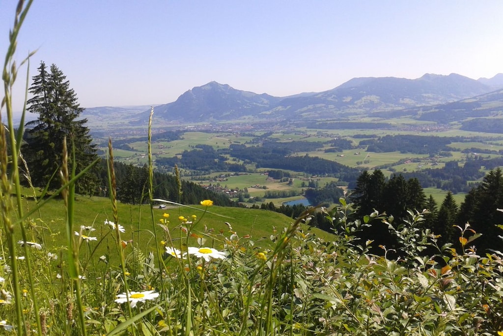84653 - Niet-getagd