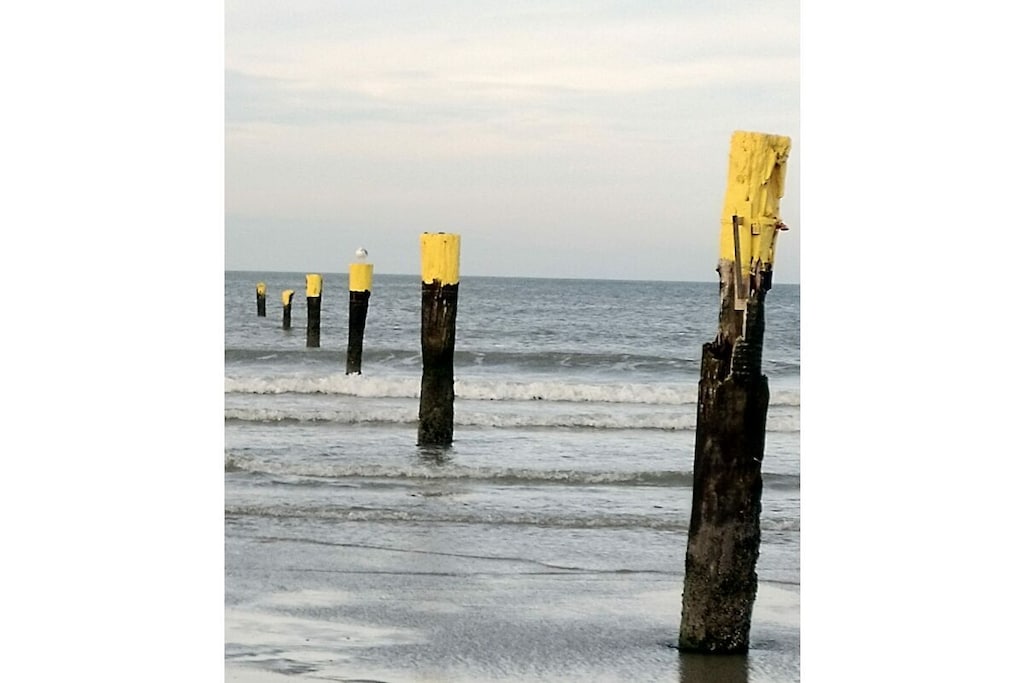 491561 - Niet-getagd