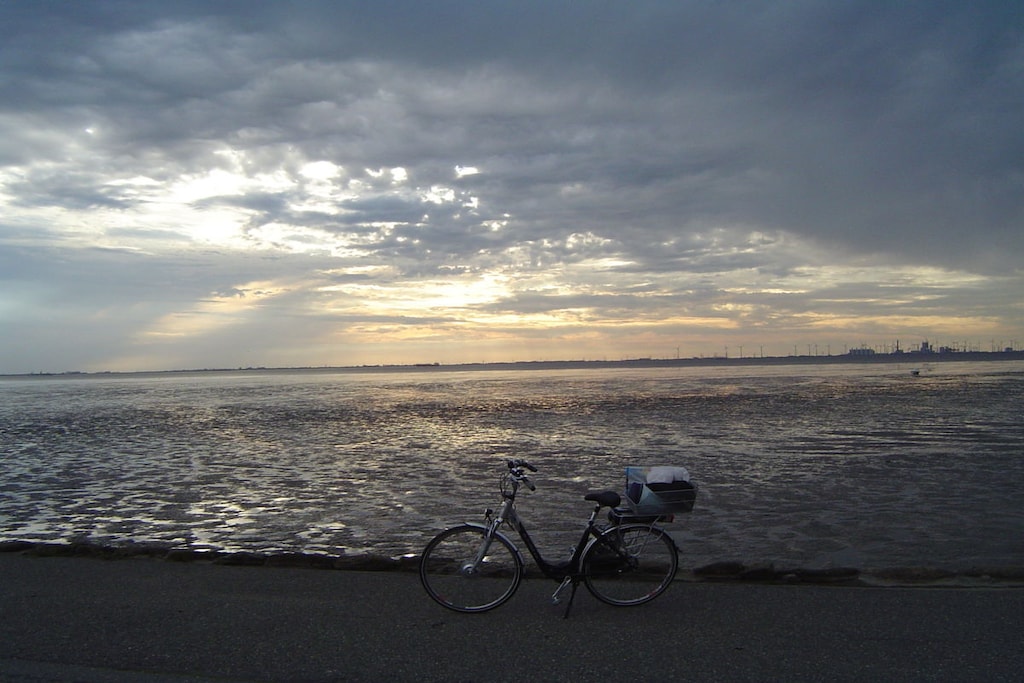 220455 - Niet-getagd