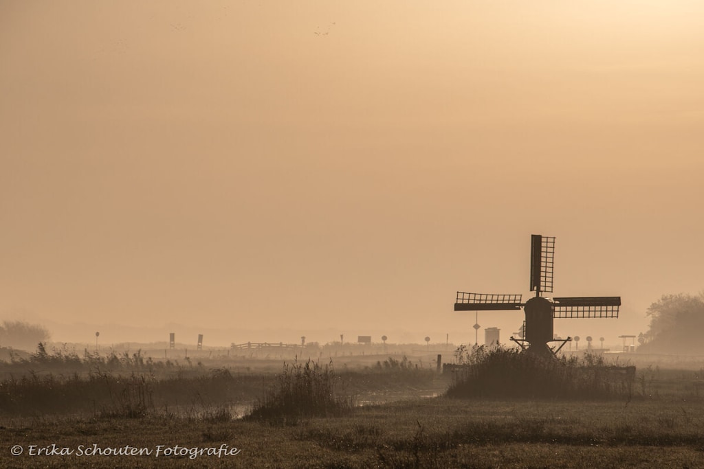 75047 - Niet-getagd