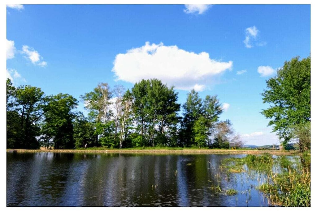 395753 - Niet-getagd