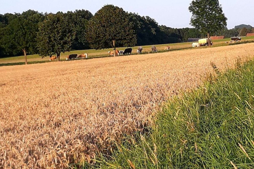395753 - Niet-getagd