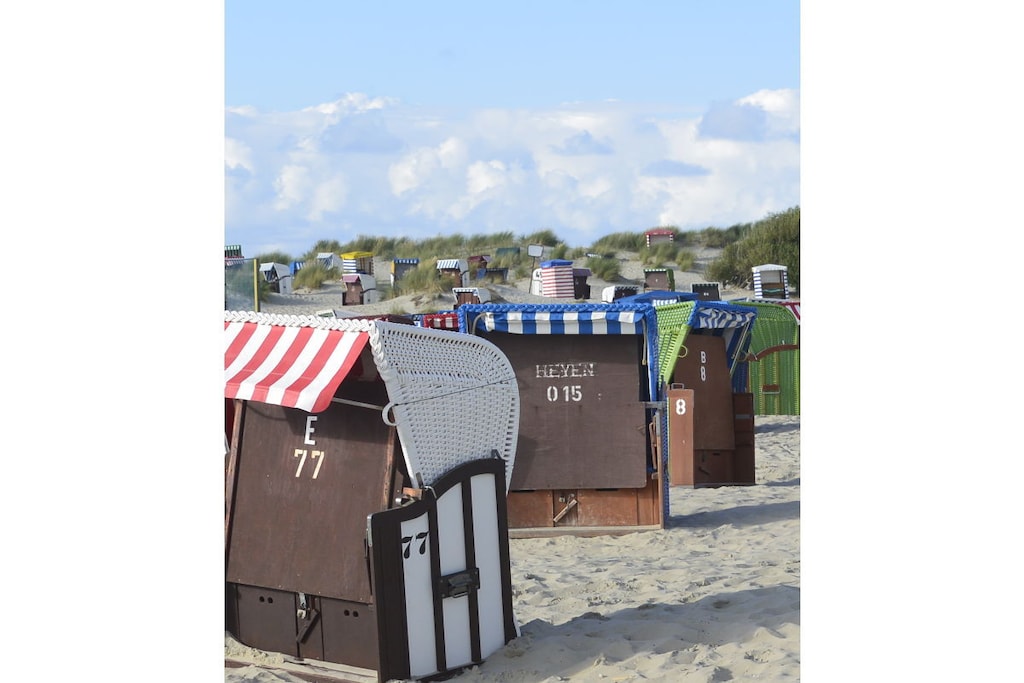241548 - Untagged