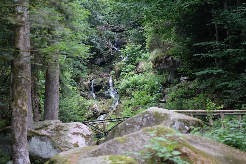 74144 - Niet-getagd