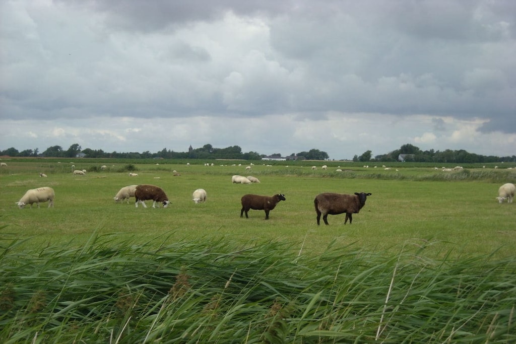 228786 - Niet-getagd