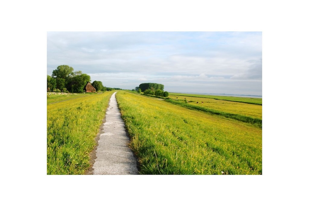 269109 - Niet-getagd