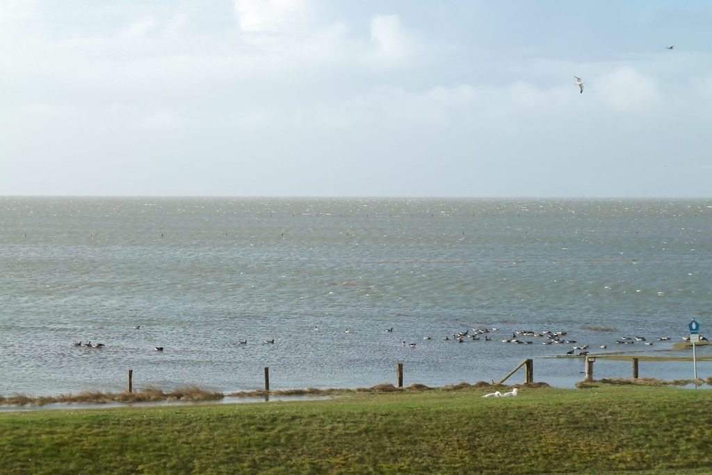 91705 - Niet-getagd