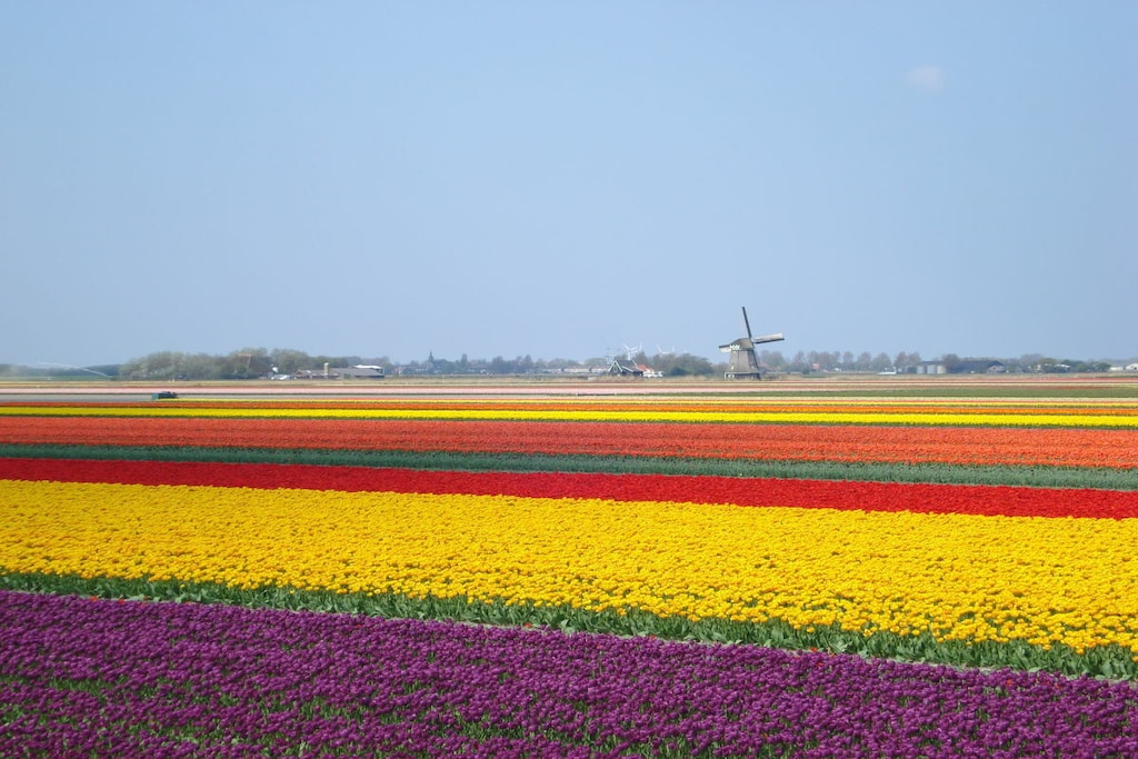 392639 - Niet-getagd