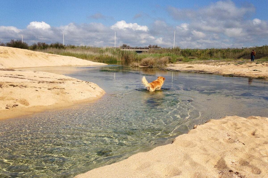 319272 - Niet-getagd