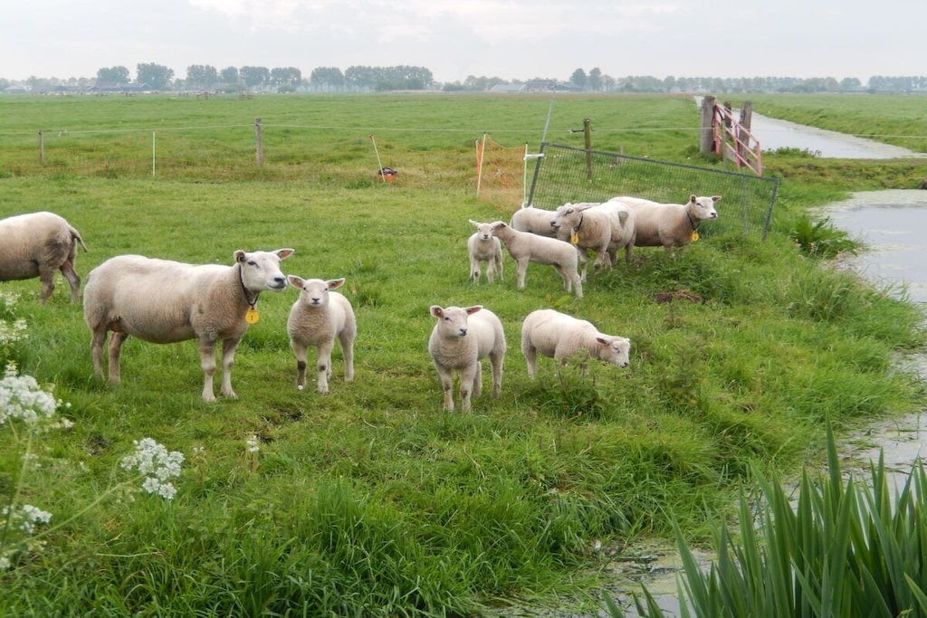 3398 - Niet-getagd