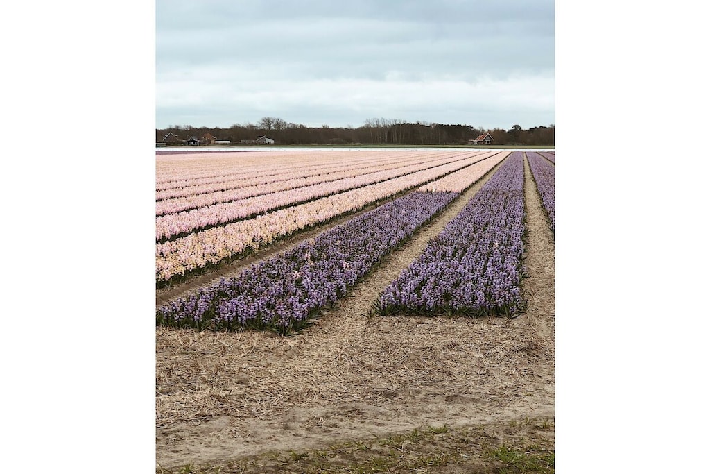 441272 - Niet-getagd