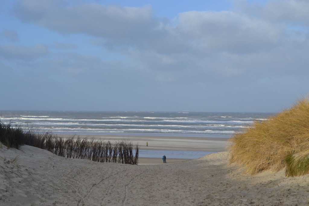 60006 - Niet-getagd
