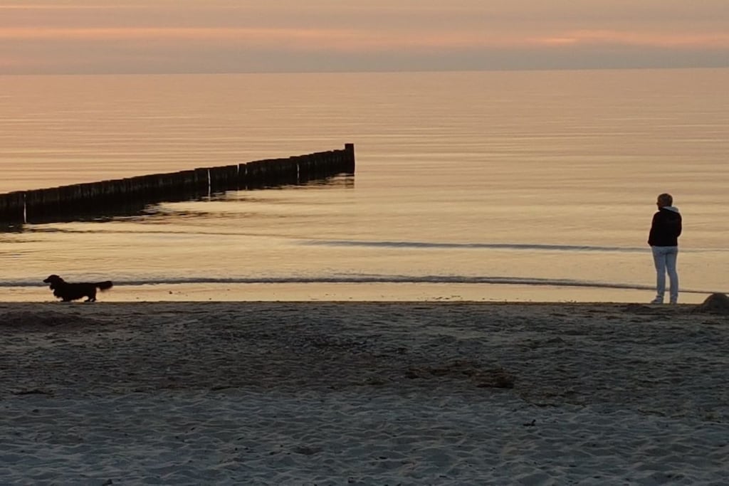 62472 - Niet-getagd