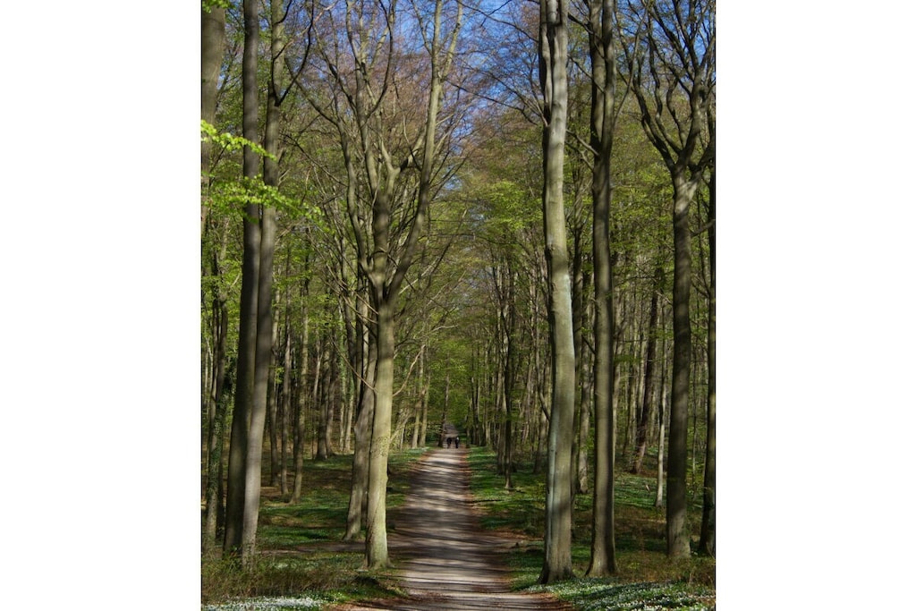 135947 - Niet-getagd