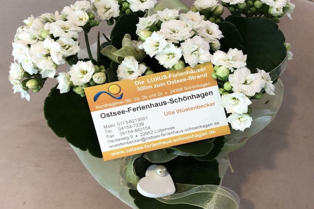 289621 - Niet-getagd