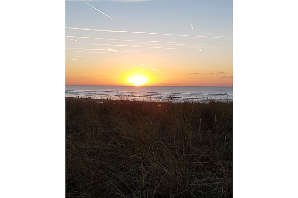 37037 - Niet-getagd