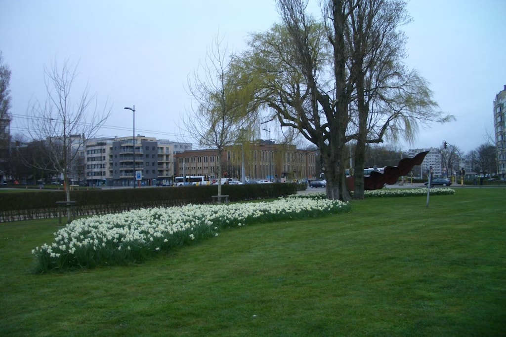 2386 - Niet-getagd