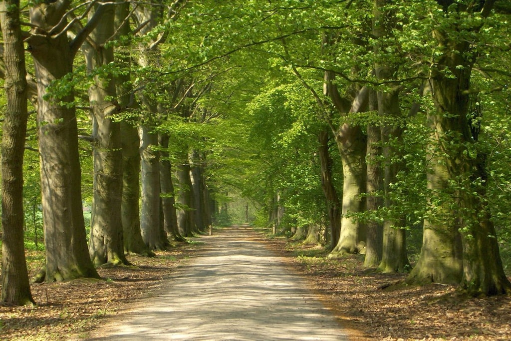 178198 - Niet-getagd