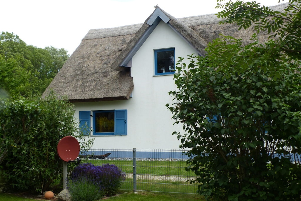 59278 - Niet-getagd