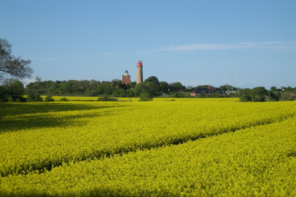59278 - Niet-getagd