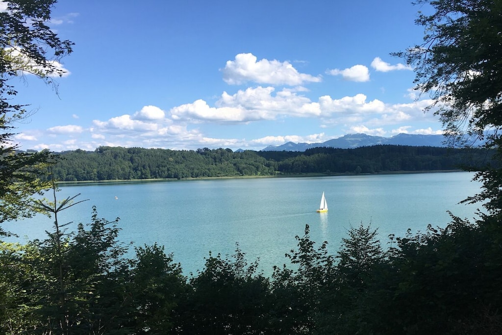 294660 - Nicht zugeordnet