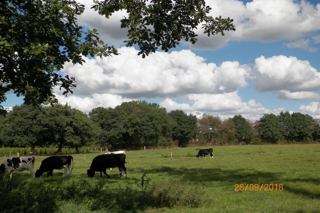 110044 - Niet-getagd