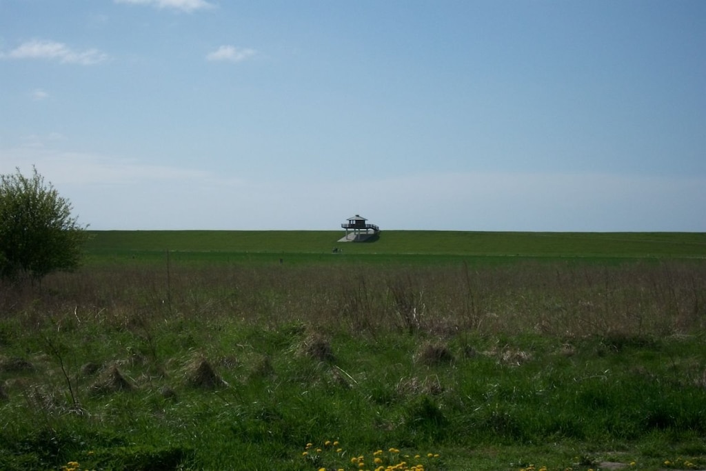 46579 - Niet-getagd