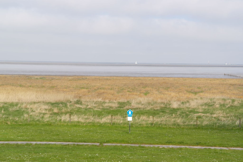 115144 - Niet-getagd