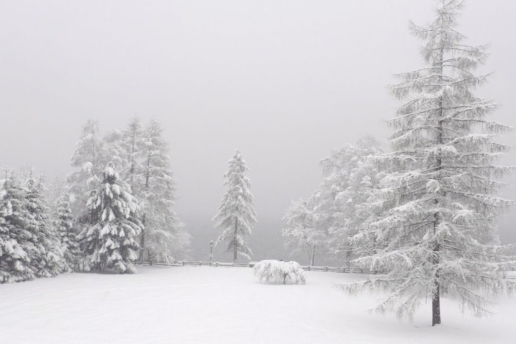 29438 - Niet-getagd